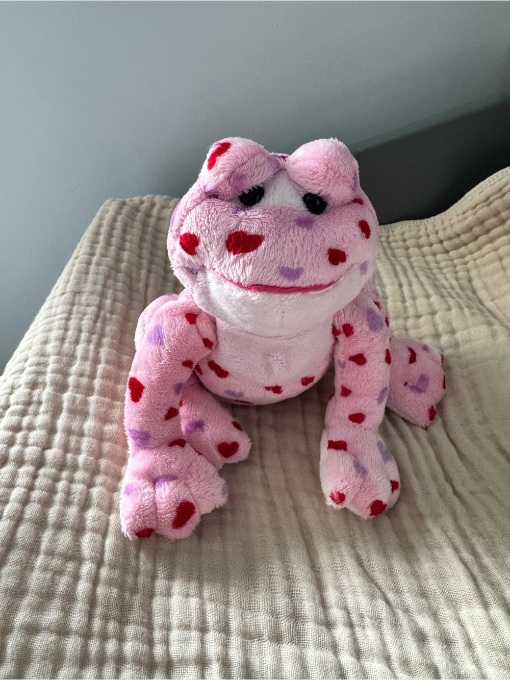 Valentine’s Day Webkinz Frog Plush 🐸💕 Retired Collectible – No Code
